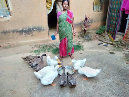 Image 10
